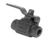 MINSUP BALL VALVES